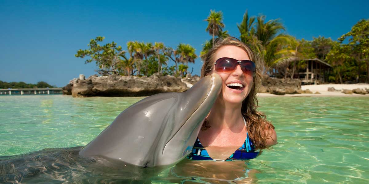 swim with dolphins in naples